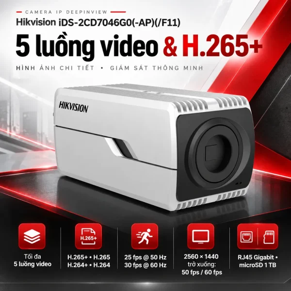 Camera 4MP DeepinView Hikvision iDS-2CD7046G0(-AP)(/F11)