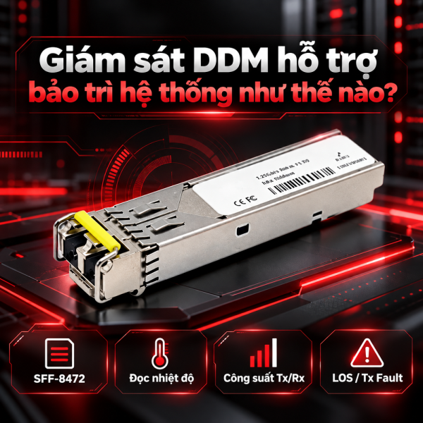 Module quang SFP Wintop WT-CFP-134/43