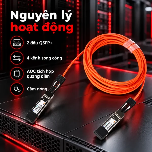 Cáp quang chủ động 40G QSFP+ WT- QSFP+ AOC