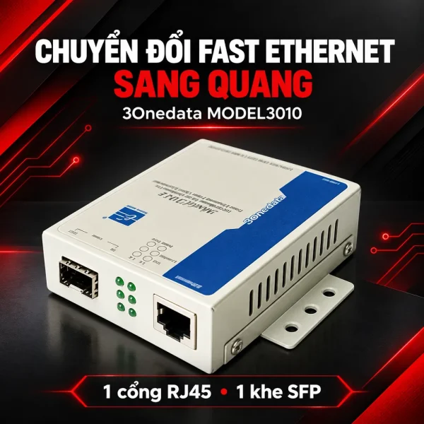 Converter quang khe cắm SFP module 10/100 Model 3010
