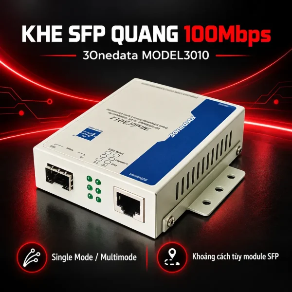 Converter quang khe cắm SFP module 10/100 Model 3010