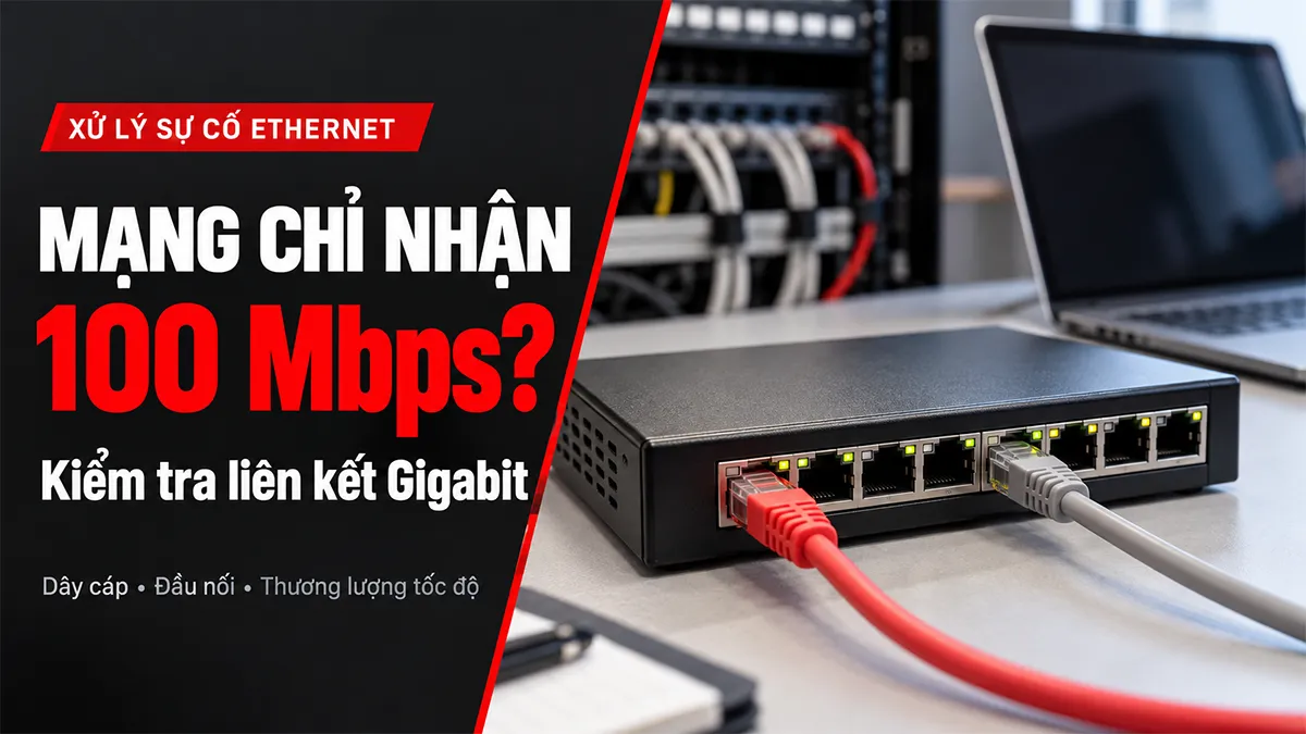 mạng chỉ nhận 100mbps