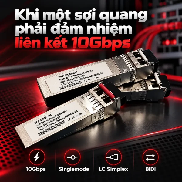Module quang SFP Wintop SFP-DDM-SM 10Gb